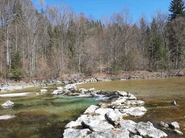 Wandern in der Natur