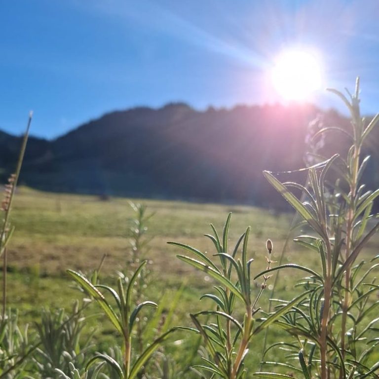 Ausblick von der Ferienwohnung